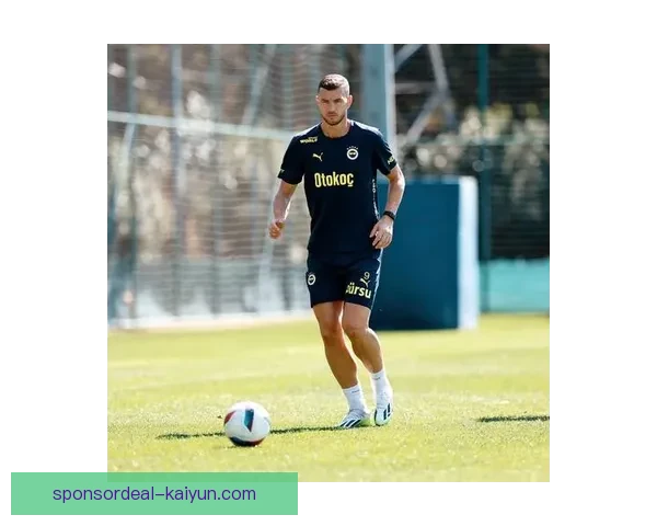 费内巴切整体实力持续提升，备受关注的竞争力增强迹象显现。